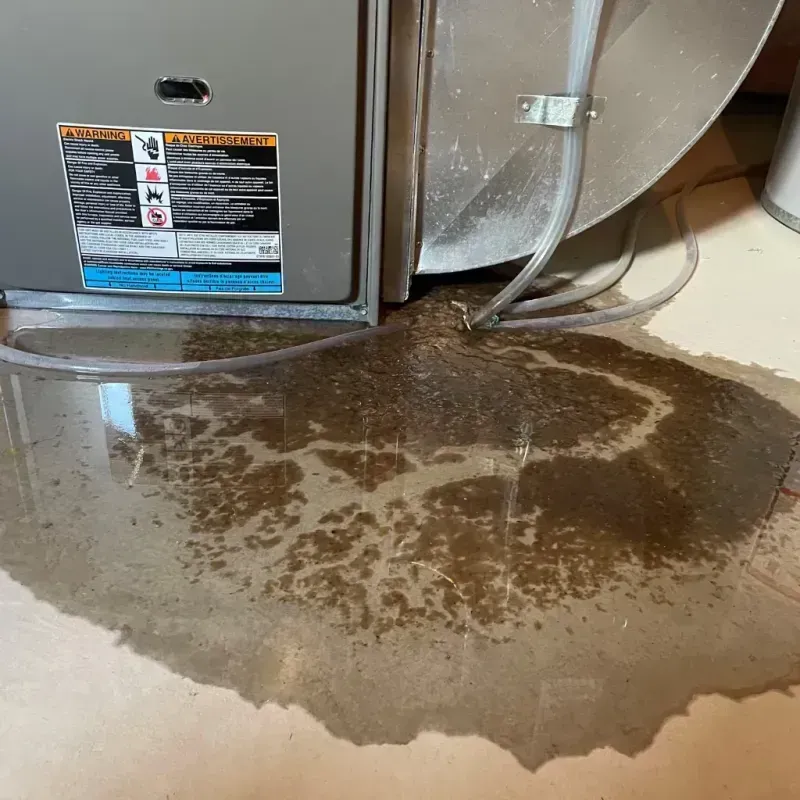 Appliance Leak Cleanup in Austell, GA